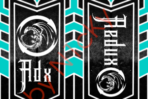 Флаг для команды Dota 2