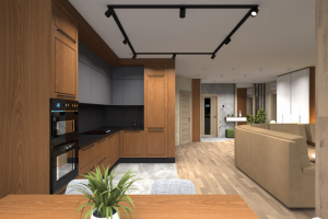 современная кухня-гостиная