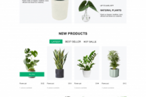 Интернет магазин