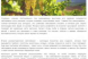 Работа 2701573