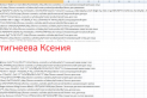 Работа 3005609