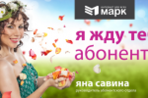 Работа 3091536