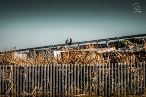 Проект для документального фильма