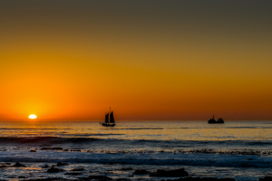 Проект для документального фильма