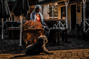 Проект для документального фильма