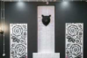 Дизайн интерьера комнаты девушки.