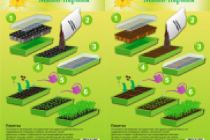 Работа 1655211