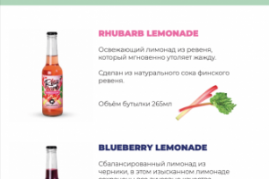 Брошюра - переведена с финского на русский