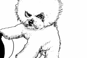 быстрая отрисовка скетч