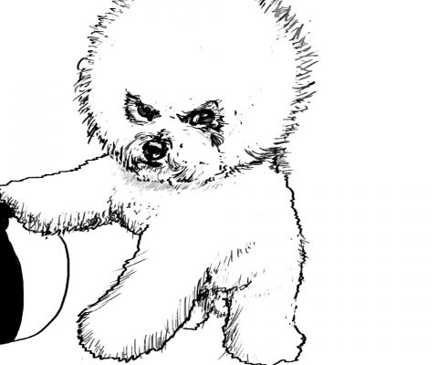 img3313565.png