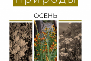 фитоброшюра