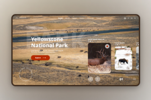 Yellowstone National Park