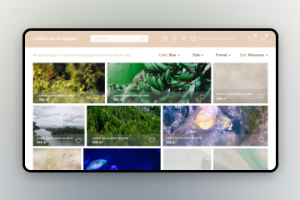 Callifornia Wallpaper