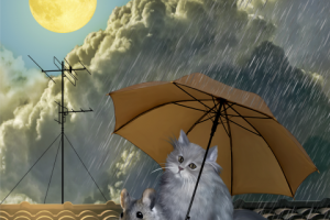 Вечерний дождь. Диджитал арт.