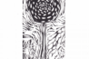 линогравюра