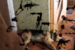 Зависимость