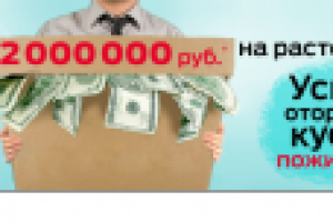 Работа 2203193