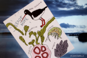 Работа 2968822