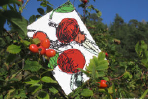 Работа 2786123