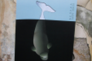 Работа 2786119