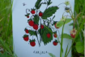 Работа 2786113