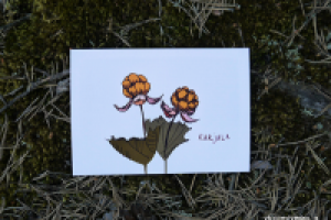 Работа 2786112