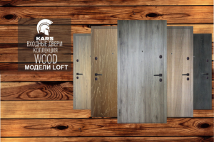 Беннер Двери Карс