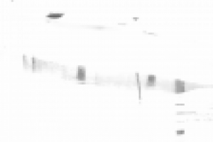 Работа 2930402