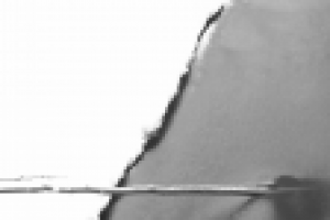 Работа 2930397