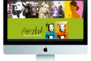 Настройка контекстной рекламы Yandex.Direct. Ограниченный бюджет