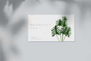 Логотип и визитка для спа салона