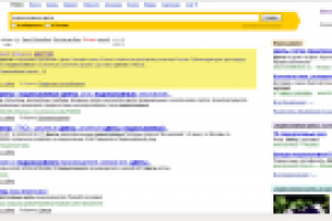 Подмосковные цветы - 1 место