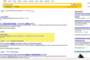 Горшечные цветы - 2 место