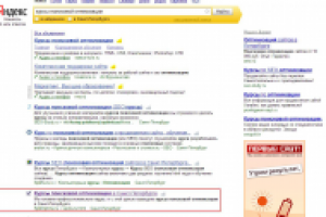 Курсы поисковой оптимизации