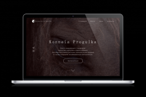 Конная прогулка