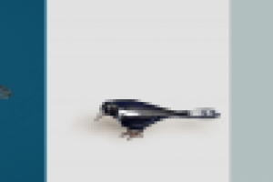 Работа 2192585