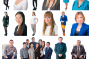 сотрудники компании