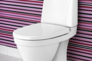 Унитазы Gustavsberg