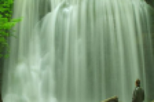 Природа и дино