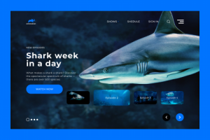 Animal Planets Design