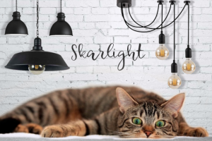 Сайт каталог