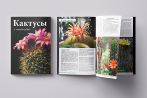 брошюра 32 л