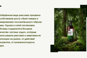 Презентация по дисциплине Реклама и PR