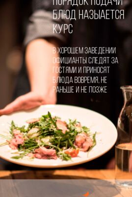 img3351935.png