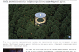Стеклянный дом с деревом в нем (новости архитектуры)