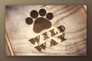 Туры по дикой природе