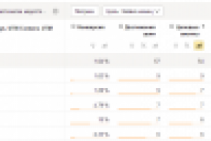 РК Вконтакте, Facebook, Mytarget для школы онлайн языков HOLA