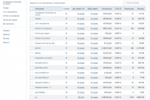 Рекламная кампания в Таргетинге (продажа футболок с принтом)