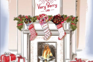 Рекламный ролик для поста @veryberrylab