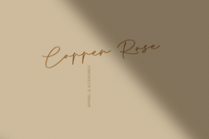 Работа 3801008